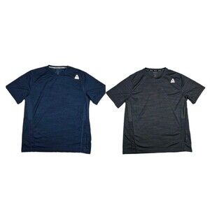 Lot Of 2 Reebok Speedwick Short Sleeve T Shirt Large Blue Gray